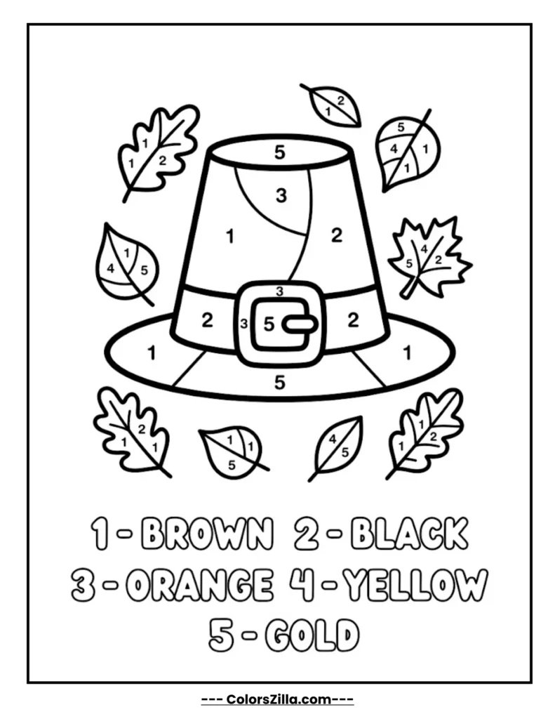 Pilgrim Hat Puzzle