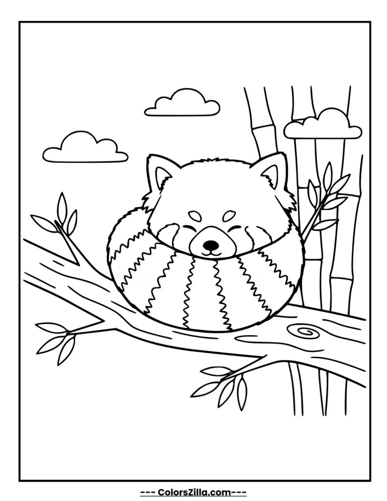 Red Panda's Cozy Nap